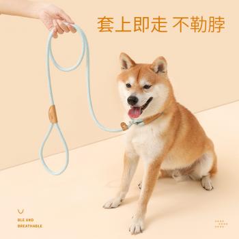 狗狗牵引绳中大型犬狗链项圈遛狗P链p绳 宠物用品