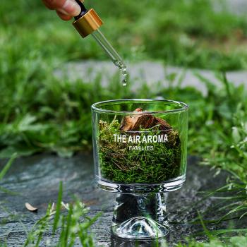 松木青苔扩香杯森系无火香薰扩香摆件持久清香香薰